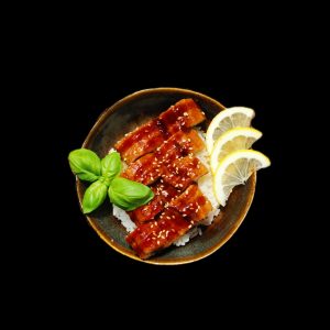 Unagi Don